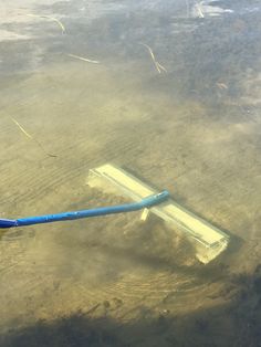 a blue object floating on top of water