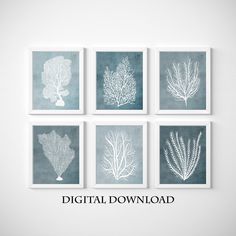 six seaweed prints in shades of blue and white on a wall with the words digital download