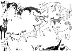 an illustrated drawing of dogs and their names