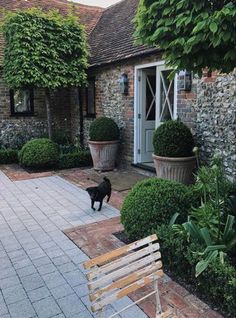 a black dog is standing in front of a house with potted plants on either side