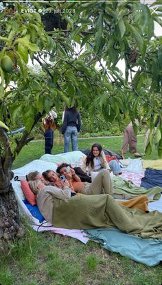 group of people sitting on blankets under an apple tree