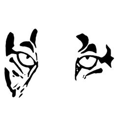 two black and white drawings of cats'eyes with the same cat's head