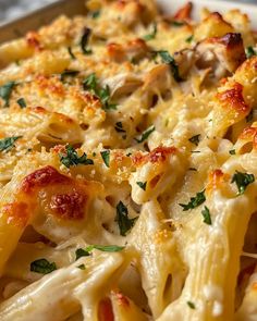 a close up of a plate of pasta with cheese and parmesan toppings