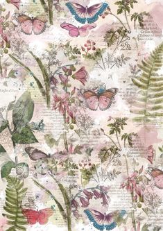 an image of butterflies and plants on a pink background