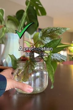 a person holding a jar with plants in it on top of a wooden table next to a potted plant