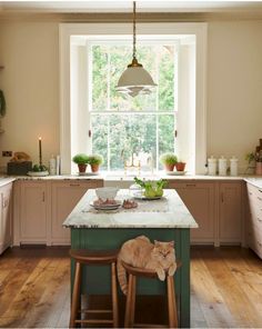 a cat is sitting on the kitchen island