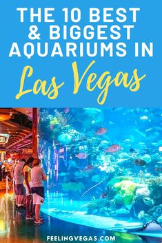 the 10 best and biggest aquariums in las vegas with text overlay that reads