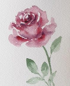 a watercolor painting of a single pink rose