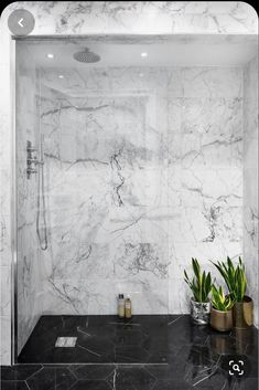 a bathroom with marbled walls and black counter tops, two plants in gold vases on the floor