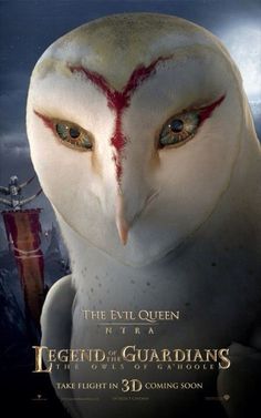 an owl with blood on it's face is shown in the poster for the movie