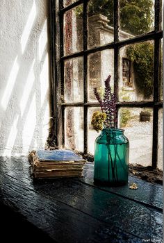 a vase with flowers sitting on a window sill next to a book and some books