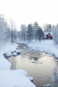 a small stream running through a snow covered forest next to a red house on top of a hill