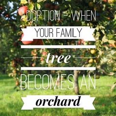 an apple tree with apples hanging from it's branches and the words, adoption - when your family tree becomes an orchard