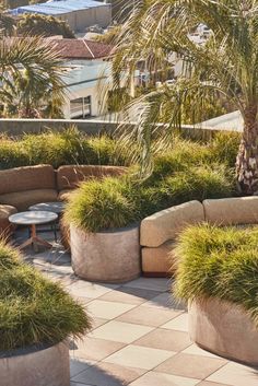 an outdoor seating area with palm trees and potted plants