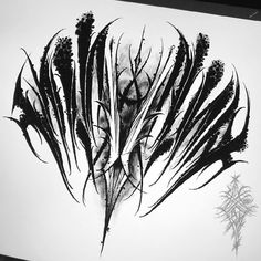 black and white photograph of dried plants on paper