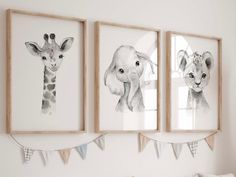 three framed giraffes and an elephant are hanging on the wall next to each other