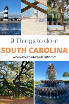 the top things to do in south carolina