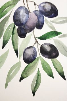 an olive tree branch painted in watercolor with green leaves and purple berries on it