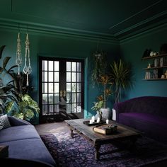 Black french doors in a living room with green walls, wood floors, purple furniture and hanging and potted plants.