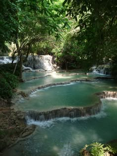 there is a small pool in the middle of the forest with water running down it