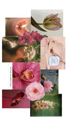 a collage of pink flowers and green leaves