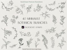 40 minimalist botanical branches hand drawn graphics