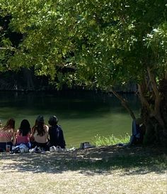 group of people sitting on the bank of a river under a tree looking at the water