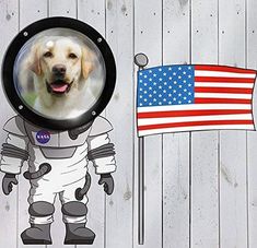 a dog in an astronaut's suit with the american flag behind it and a photo of him