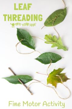 leaf threading fine motor activity