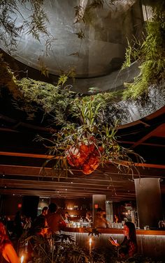 people are sitting at tables in a restaurant with plants hanging from the ceiling above them