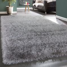 a living room filled with furniture and a rug