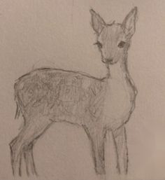 a pencil drawing of a deer standing next to a wall