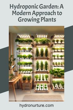 hydroponic garden a modern approach to growing plants by hydronuture