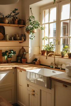 a kitchen filled with lots of potted plants next to a sink and counter top