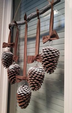 some pine cones are hanging from a tree branch and tied with brown ribbon to hang on the front door