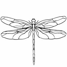 a black and white drawing of a dragonfly