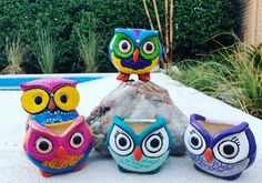 three colorful owls sitting on top of a rock