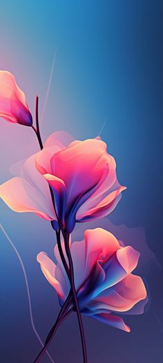 two pink flowers on a blue background, with the light coming through them to create an artistic image