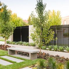 a bench in the middle of a garden with trees and plants around it, near a fence