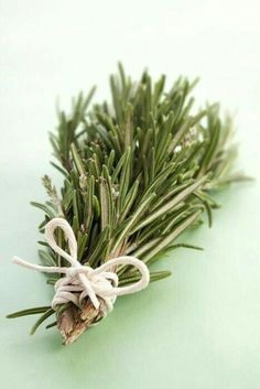 a bunch of rosemary tied up with twine