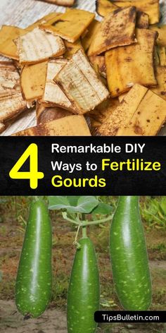 four different ways to fertite gourds