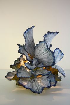 a blue flower sitting on top of a white table