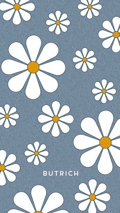 a bunch of white flowers on a blue background