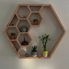 the shelves are filled with various plants and potted plants on top of each shelf