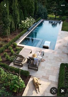 an aerial view of a pool and patio area with a dog laying on the ground