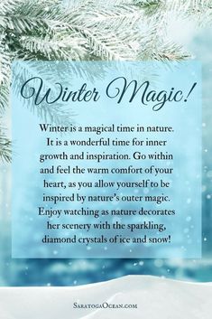 a christmas card with the words winter magic written in blue and white on snow covered branches