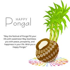 Pongal wishes Festivals Illustration, Happy May, Bungalow House, Bungalow House Design, God Bless You, Bungalow, Gift Ideas