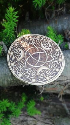 a metal object sitting on top of a tree branch next to some green leaves and branches