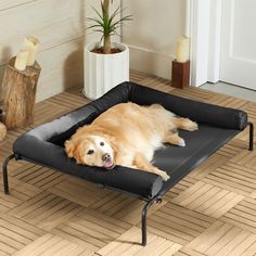 a golden retriever laying on top of a dog bed