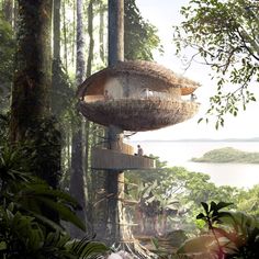 an artist's rendering of a tree house in the middle of a forest with lots of trees